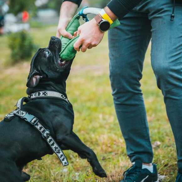 BullFit Horseshoe Dog Bite Tug Toy Tug of War Dog Toy for 2 Dogs to Play Green - Picture 1 of 8